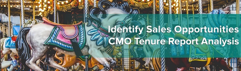 CMO Tenure Report Analysis.jpg